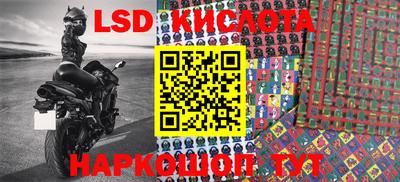 шишки Гай