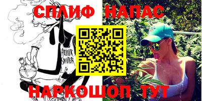 шишки Гай