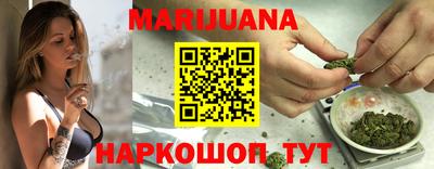 шишки Гай