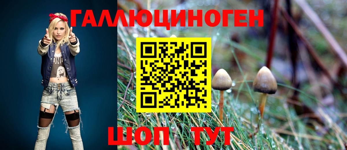 Нальчик  Псилоцибиновые грибы GOLDEN TEACHER  Вход с VPN  Галлюциногенные грибы Psilocybe 